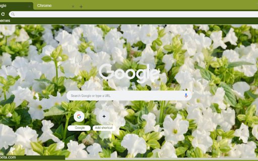 Torenia  from Chrome web store to be run with OffiDocs Chromium online