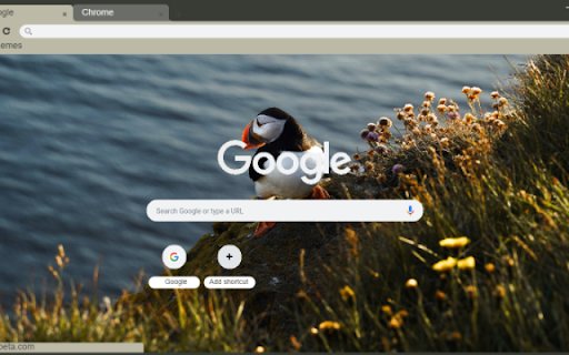 Toucan  from Chrome web store to be run with OffiDocs Chromium online