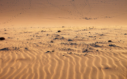 Traces Across Golden Dunes from Chrome web store to be run with OffiDocs Chromium online Traces Across Golden Dunes from Chrome web store to be run with OffiDocs Chromium online