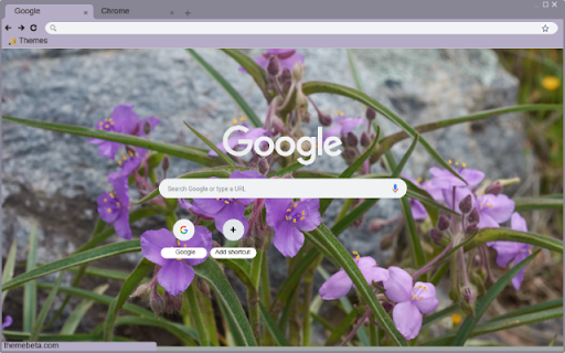 Tradescantia  from Chrome web store to be run with OffiDocs Chromium online