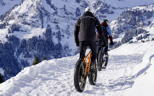 Trailblazers in the Snow  from Chrome web store to be run with OffiDocs Chromium online