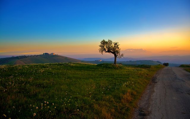 Tree and Sunset dari toko web Chrome untuk dijalankan dengan OffiDocs Chromium online