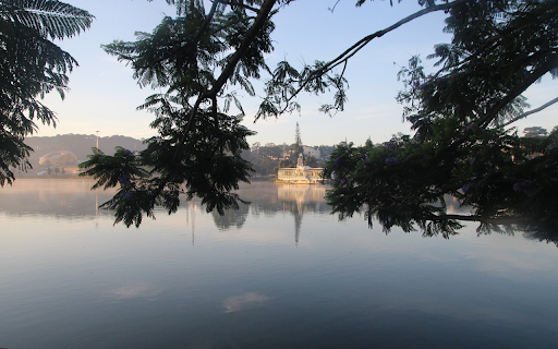Tree branches by the lake  from Chrome web store to be run with OffiDocs Chromium online