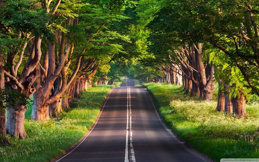 Tree Lined Pathway  from Chrome web store to be run with OffiDocs Chromium online