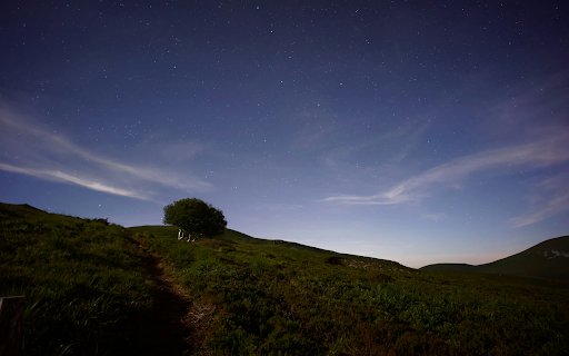 Tree on mountain under cloudy  from Chrome web store to be run with OffiDocs Chromium online