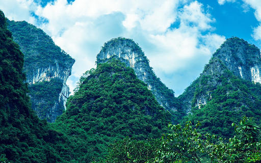 Tree on rocky mountain from Chrome web store to be run with OffiDocs Chromium online Tree on rocky mountain from Chrome web store to be run with OffiDocs Chromium online