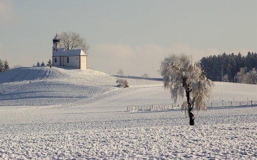 Trees draped with white snow  from Chrome web store to be run with OffiDocs Chromium online Trees draped with white snow  from Chrome web store to be run with OffiDocs Chromium online