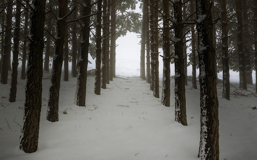 Trees in front of winter  from Chrome web store to be run with OffiDocs Chromium online