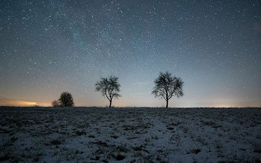 Trees Theme  from Chrome web store to be run with OffiDocs Chromium online