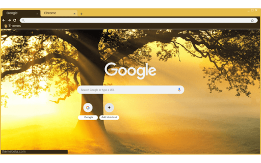 Tree Sun Set  from Chrome web store to be run with OffiDocs Chromium online