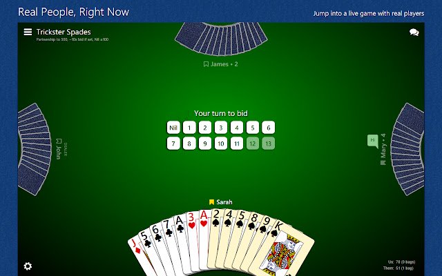 Trickster Spades از فروشگاه وب Chrome با OffiDocs Chromium به صورت آنلاین اجرا می شود