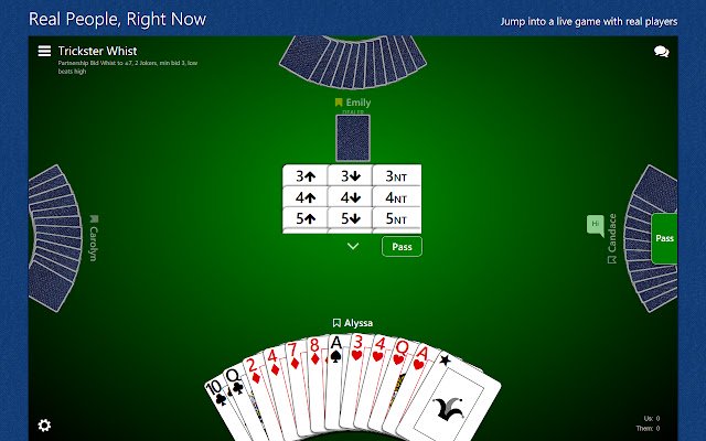 Trickster Whist از فروشگاه وب Chrome با OffiDocs Chromium به صورت آنلاین اجرا می شود