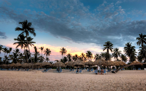 Tropical Paradise Theme  from Chrome web store to be run with OffiDocs Chromium online