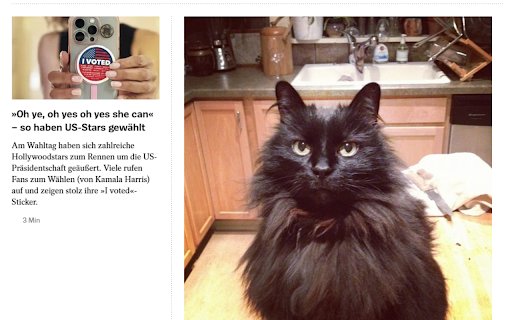 Trump Filter with Dog and Cat Pictures  from Chrome web store to be run with OffiDocs Chromium online