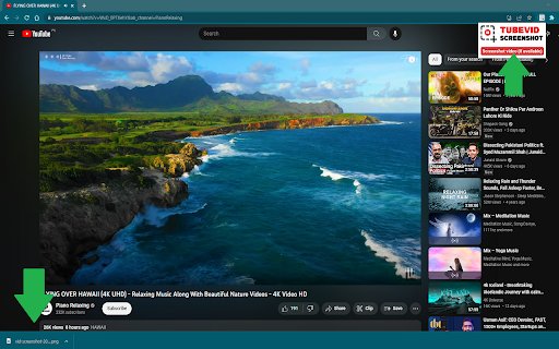 TubeVid Screenshot  from Chrome web store to be run with OffiDocs Chromium online