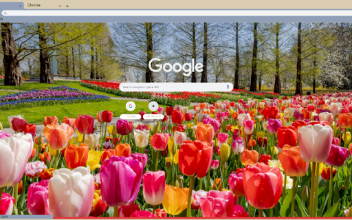 Tulip  from Chrome web store to be run with OffiDocs Chromium online