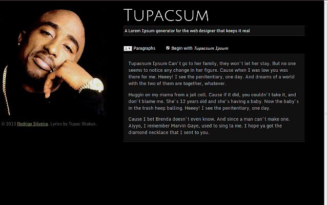 Chrome 网上商店的 Tupacsum 将与 OffiDocs Chromium 在线一起运行