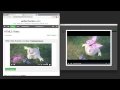 Turbo Download Manager (Classic)  from Chrome web store to be run with OffiDocs Chromium online