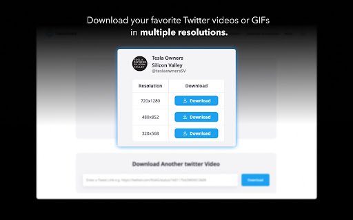 Twitter Video Downloader Tweeload  from Chrome web store to be run with OffiDocs Chromium online