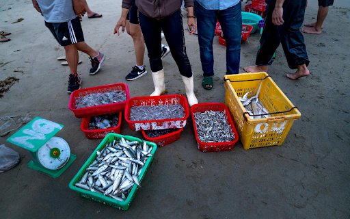 Two coastal products  from Chrome web store to be run with OffiDocs Chromium online Two coastal products  from Chrome web store to be run with OffiDocs Chromium online