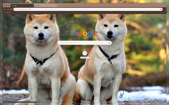 Deux chiens de la boutique en ligne Chrome seront exécutés avec OffiDocs Chromium en ligne