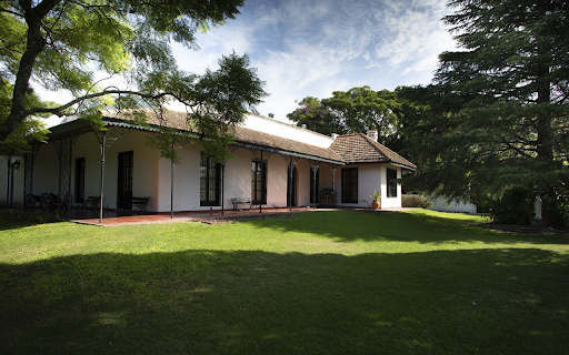 two lovely parrots  from Chrome web store to be run with OffiDocs Chromium online