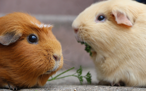 Two mice  from Chrome web store to be run with OffiDocs Chromium online