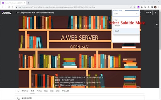 Udemy Double Subtitle  from Chrome web store to be run with OffiDocs Chromium online