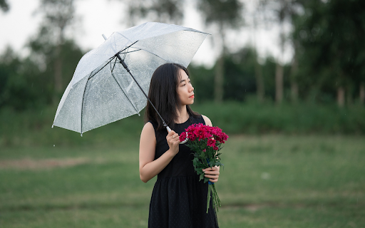 Umbrella pink purple flowers  from Chrome web store to be run with OffiDocs Chromium online