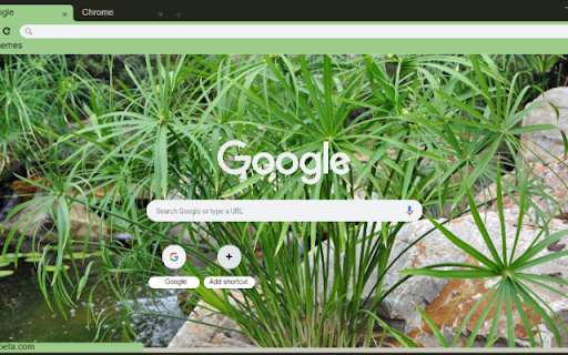 Umbrella Plant  from Chrome web store to be run with OffiDocs Chromium online
