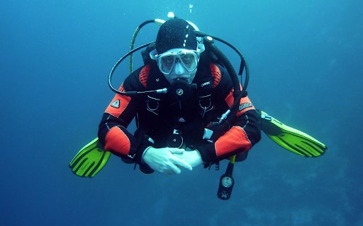 Undersea diver  from Chrome web store to be run with OffiDocs Chromium online
