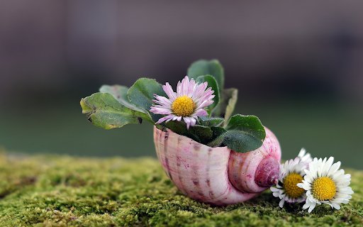 Unique snail flower vase  from Chrome web store to be run with OffiDocs Chromium online