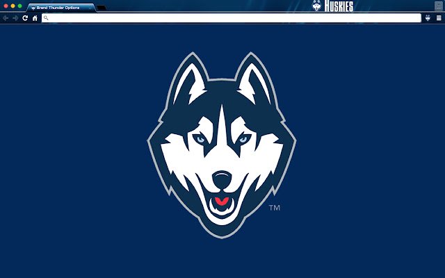 University of Connecticut Theme  from Chrome web store to be run with OffiDocs Chromium online