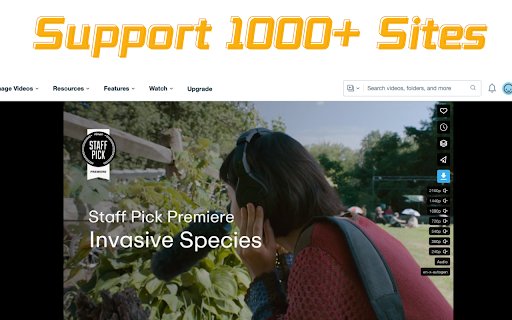 Unlimited Video Downloader Save Video and Images  from Chrome web store to be run with OffiDocs Chromium online