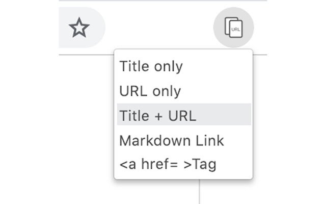 URL and Title Copier  from Chrome web store to be run with OffiDocs Chromium online
