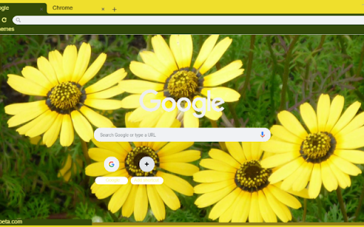 Ursinia  from Chrome web store to be run with OffiDocs Chromium online