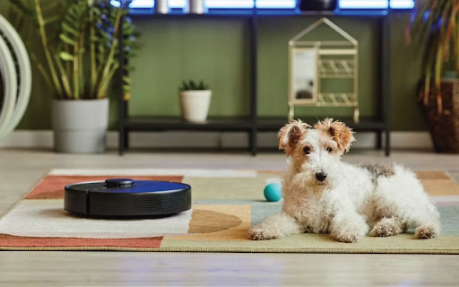 Vacuum Robot Fox Terrier  from Chrome web store to be run with OffiDocs Chromium online