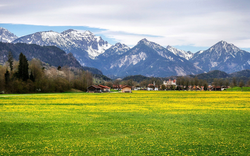 Vast Grass Field  from Chrome web store to be run with OffiDocs Chromium online