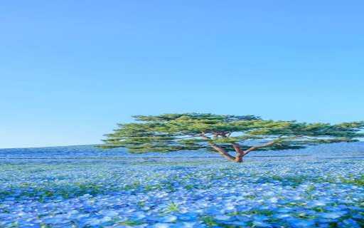 Vast grassland wallpaper  from Chrome web store to be run with OffiDocs Chromium online