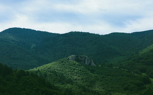 Vast Green Forest  from Chrome web store to be run with OffiDocs Chromium online