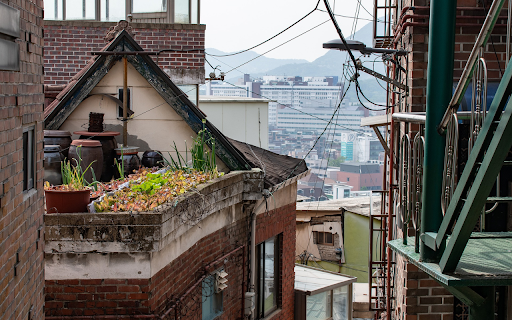 vegetable garden on the roof  from Chrome web store to be run with OffiDocs Chromium online