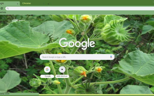 Velvetleaf  from Chrome web store to be run with OffiDocs Chromium online