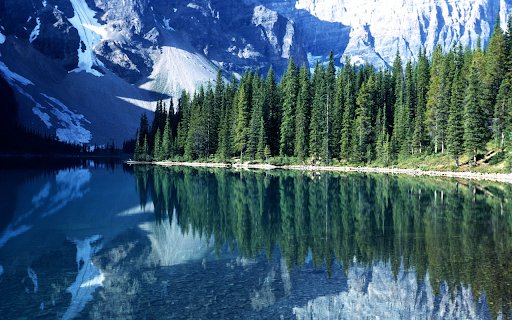 vertical forest  from Chrome web store to be run with OffiDocs Chromium online