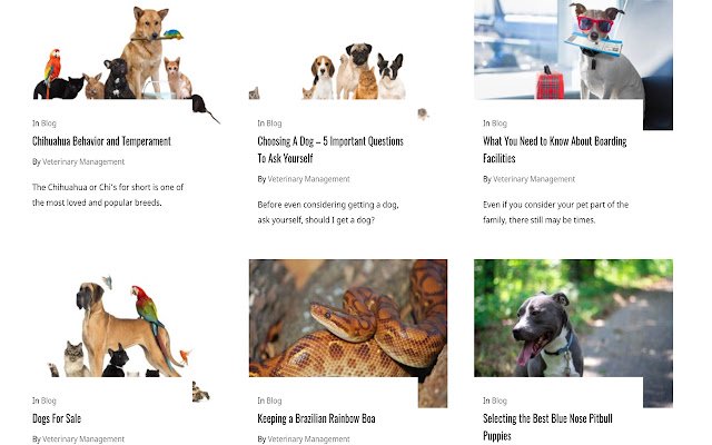 Managementul veterinar din magazinul web Chrome va fi rulat cu OffiDocs Chromium online