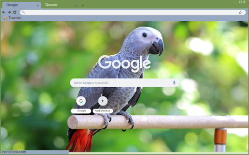 Vet Xam  from Chrome web store to be run with OffiDocs Chromium online