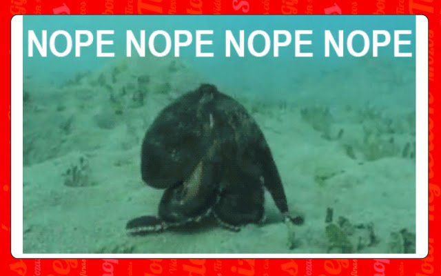 Vice Dog Plus for FinoFilipino  from Chrome web store to be run with OffiDocs Chromium online