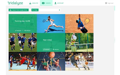 Vidalyze  from Chrome web store to be run with OffiDocs Chromium online