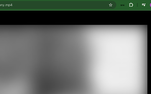 Video Blur  from Chrome web store to be run with OffiDocs Chromium online
