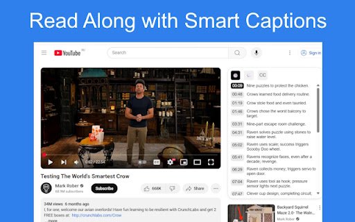 VideoBrain: Discover What Every YouTube Video Is Really About  from Chrome web store to be run with OffiDocs Chromium online
