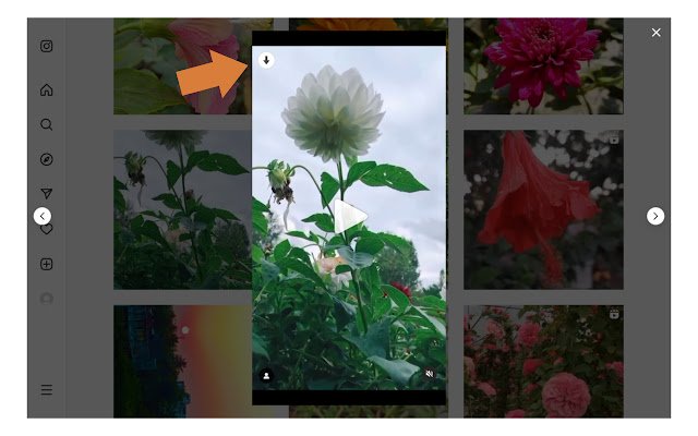 Video Downloader for IW  from Chrome web store to be run with OffiDocs Chromium online